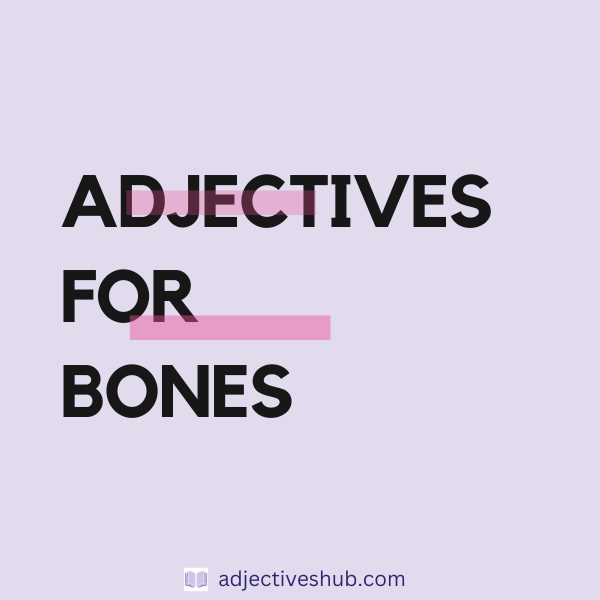 Adjectives for Bones