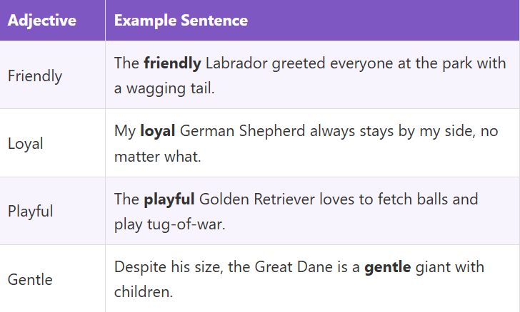 Adjectives for Dogs