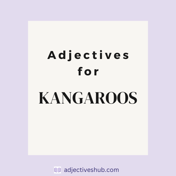 Adjectives for Kangaroos