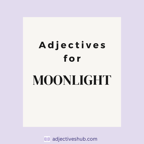 Adjectives for Moonlight