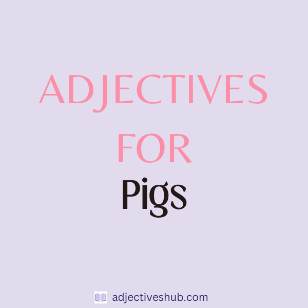 Adjectives for Pigs