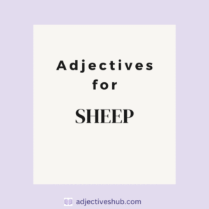 Adjectives for Sheep: A Comprehensive Guide