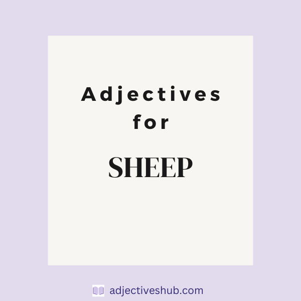 Adjectives for Sheep