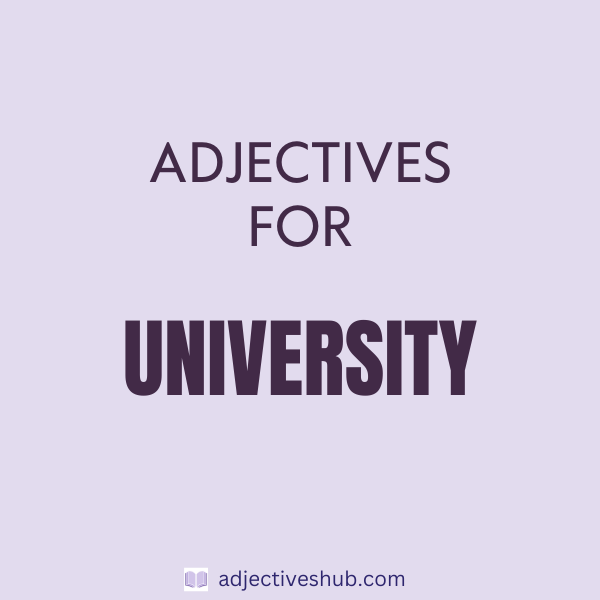 Adjectives for University